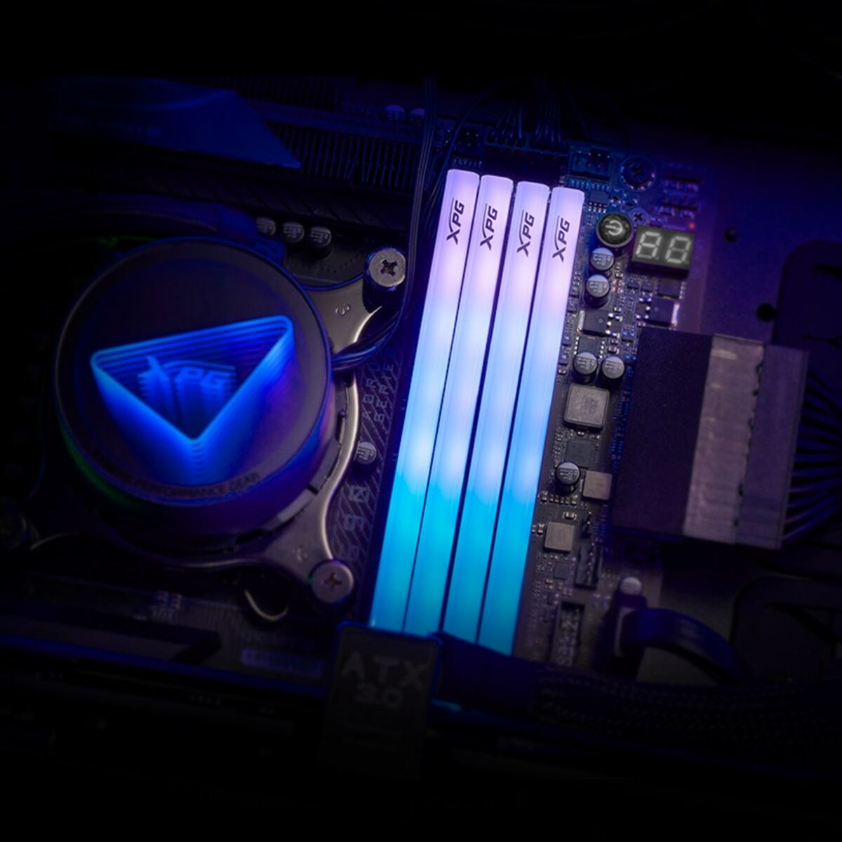 Μνήμη RAM Adata 5U6000C3016GDTLABRBK 32 GB DDR5 6000 MHz cl30